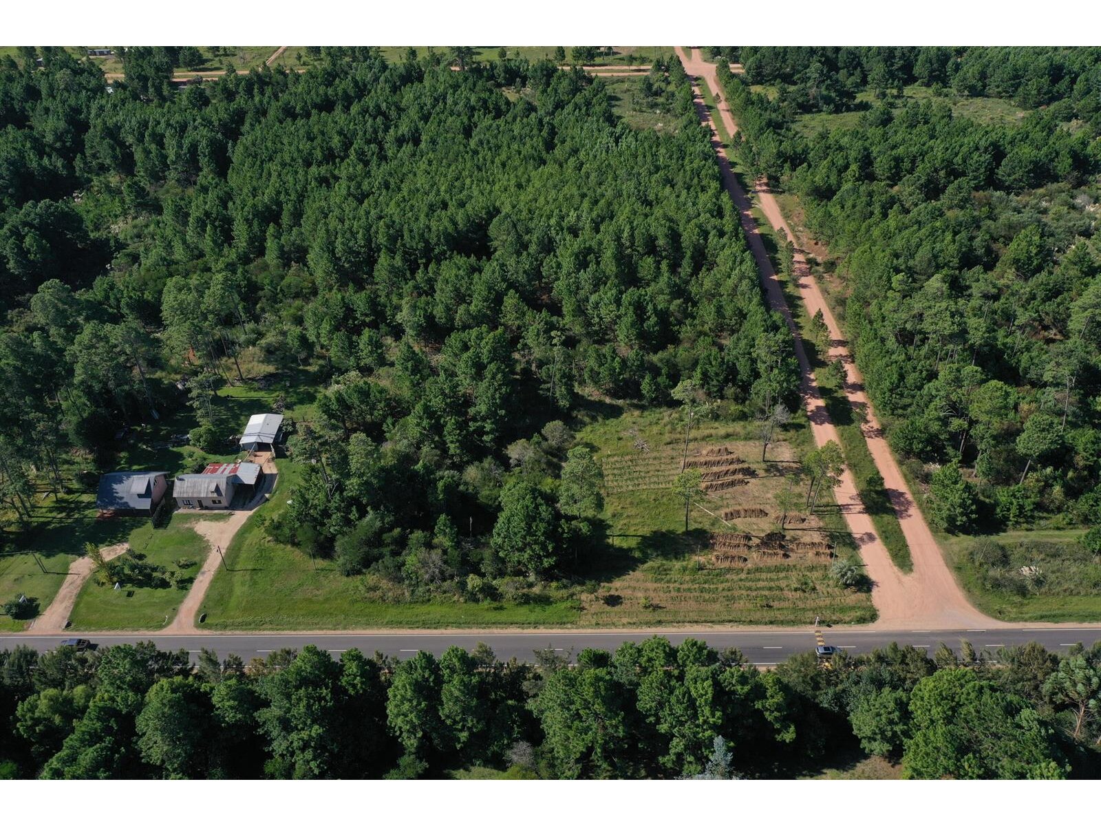 Image - 1