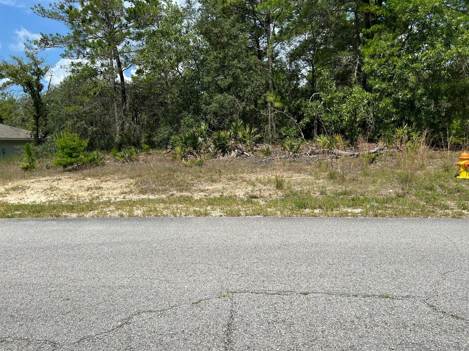 Image - 1