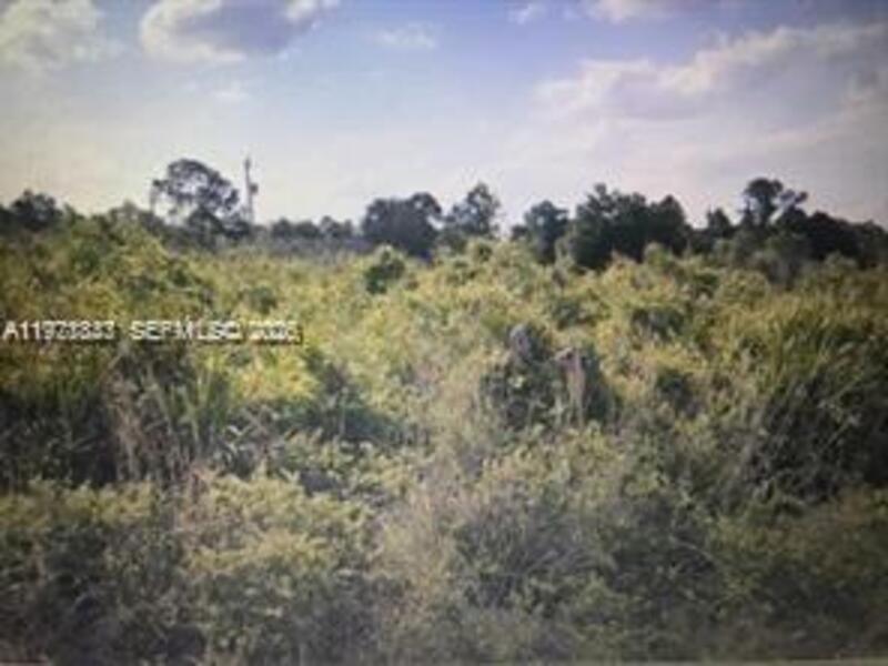 Image - 1