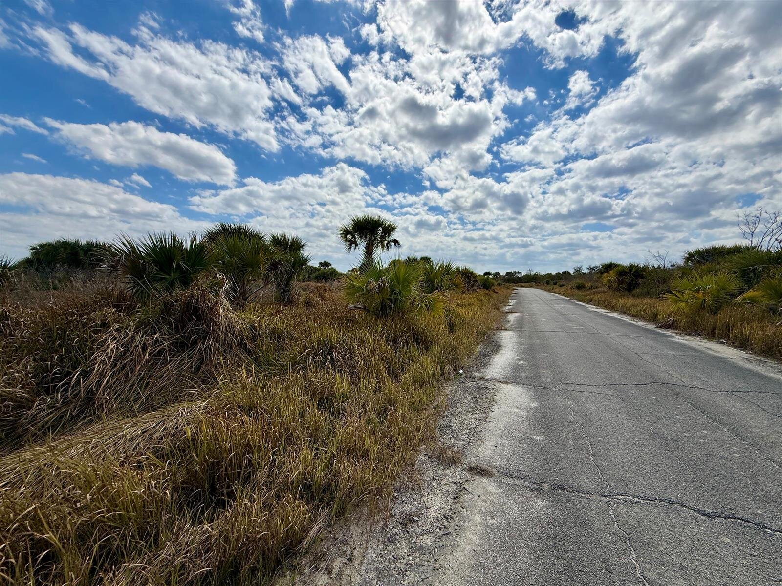Image - 1