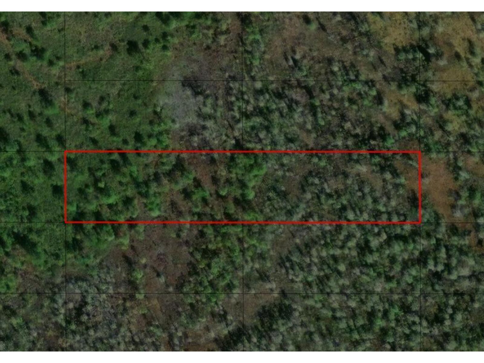 Image - 1