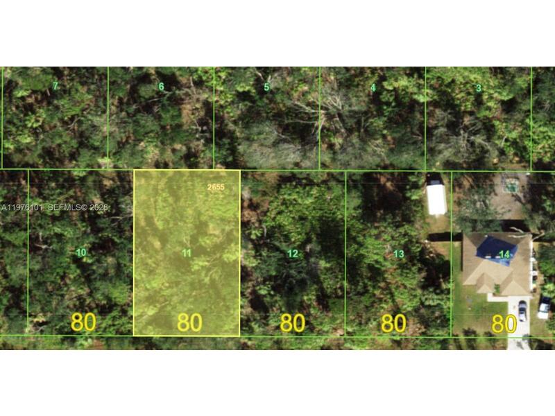 Image - 1