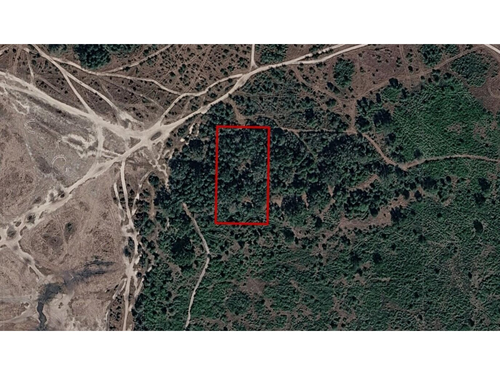 Image - 1