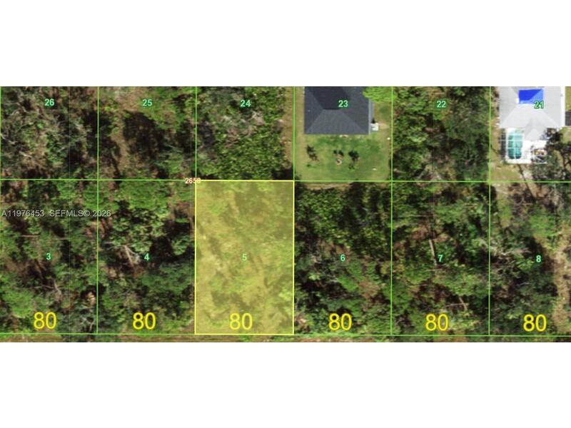 Image - 1