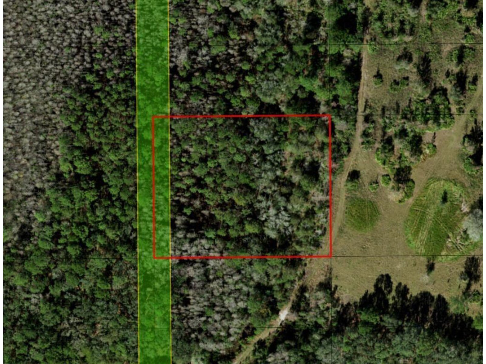 Image - 1