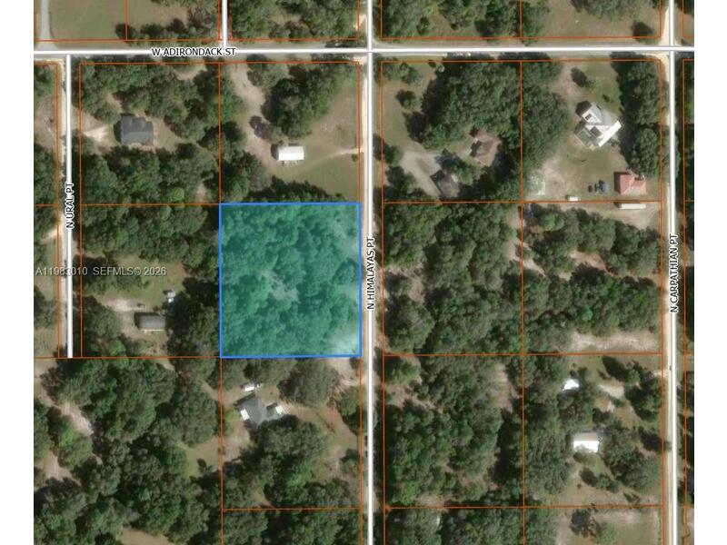 Image - 1