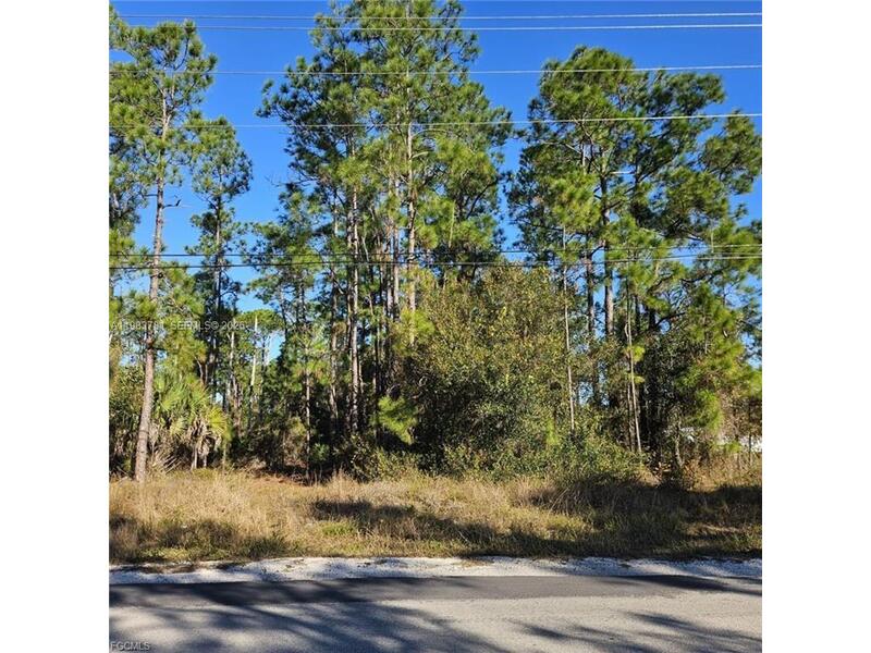 Image - 1