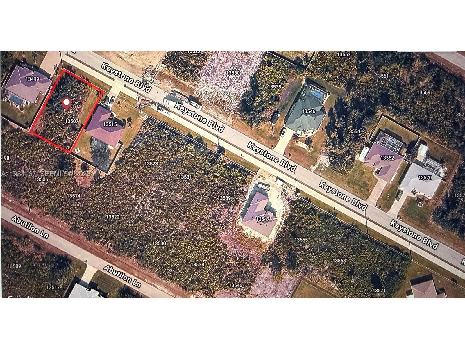 Image - 1