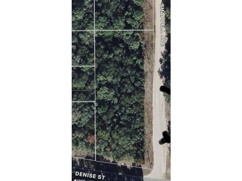 Image - 1