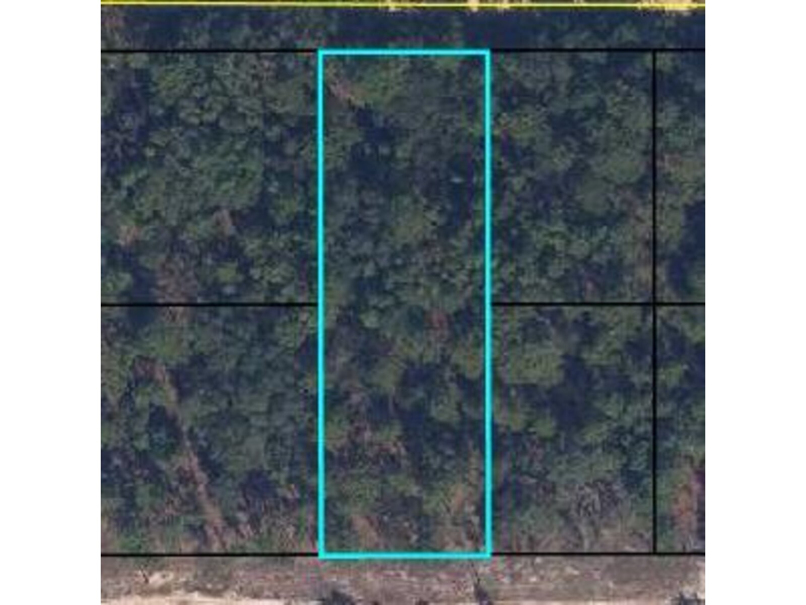 Image - 1