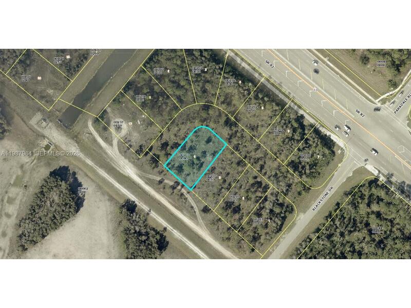 Image - 1