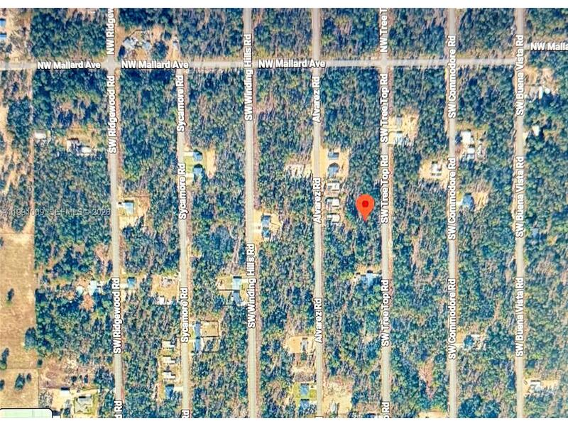 Image - 1