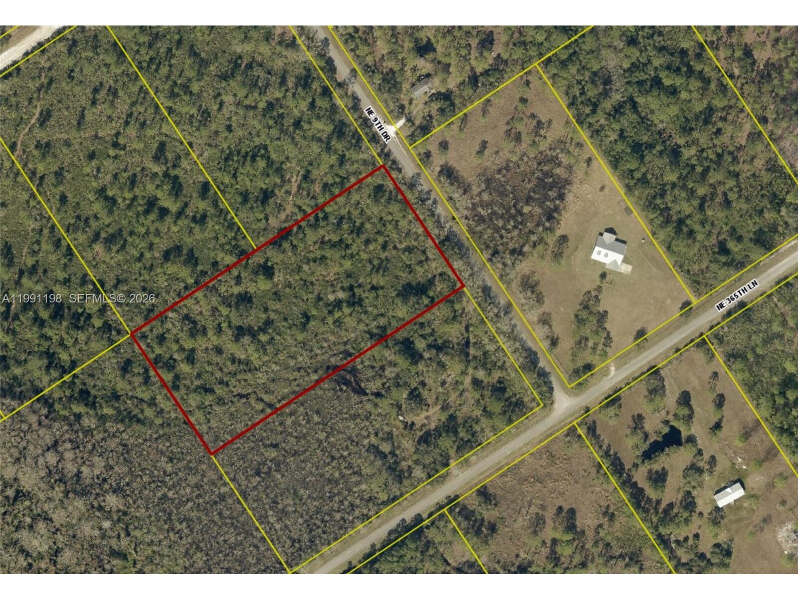 Image - 1