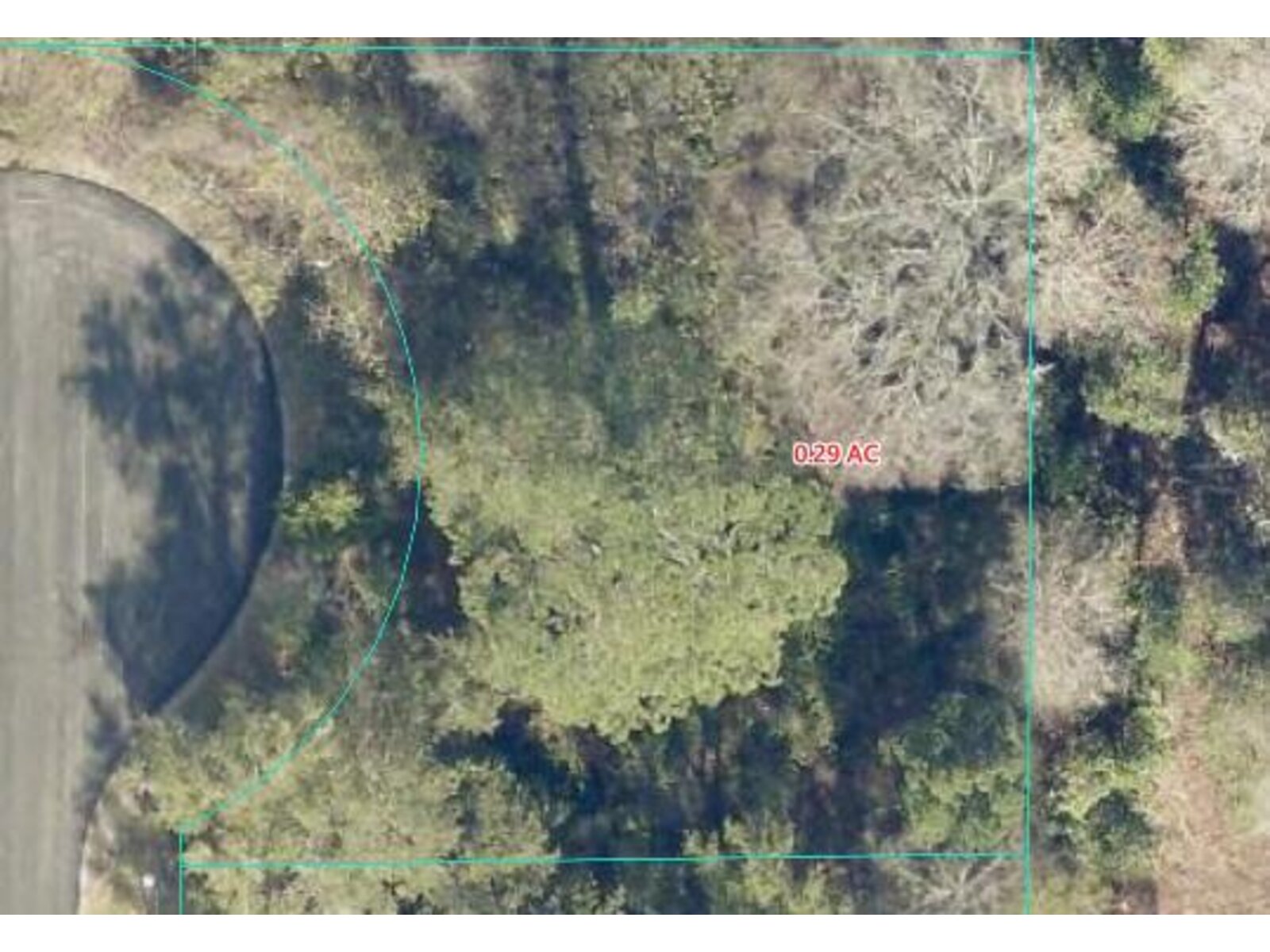 Image - 1