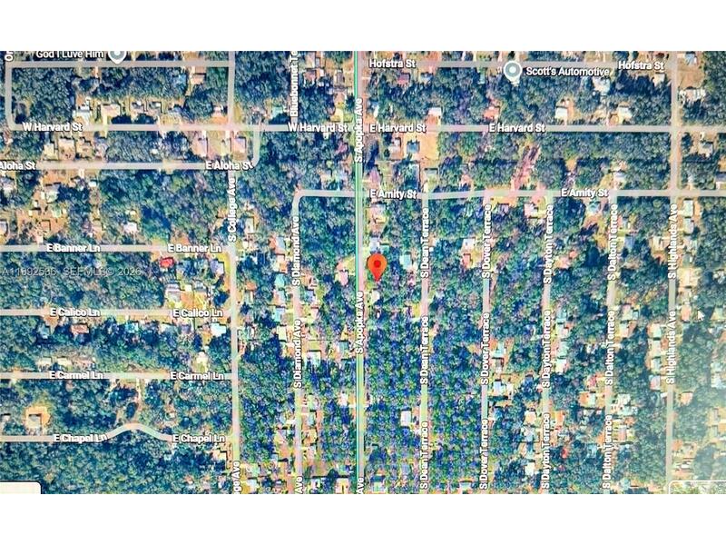 Image - 1