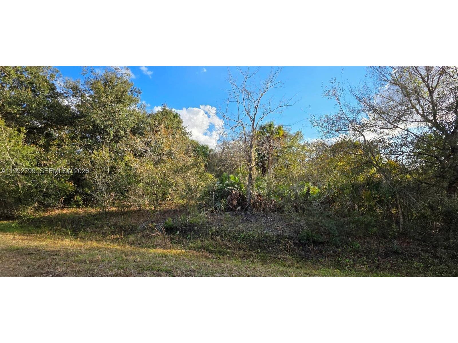 Image - 1