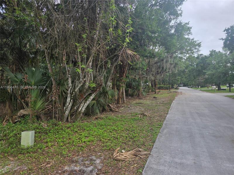Image - 1
