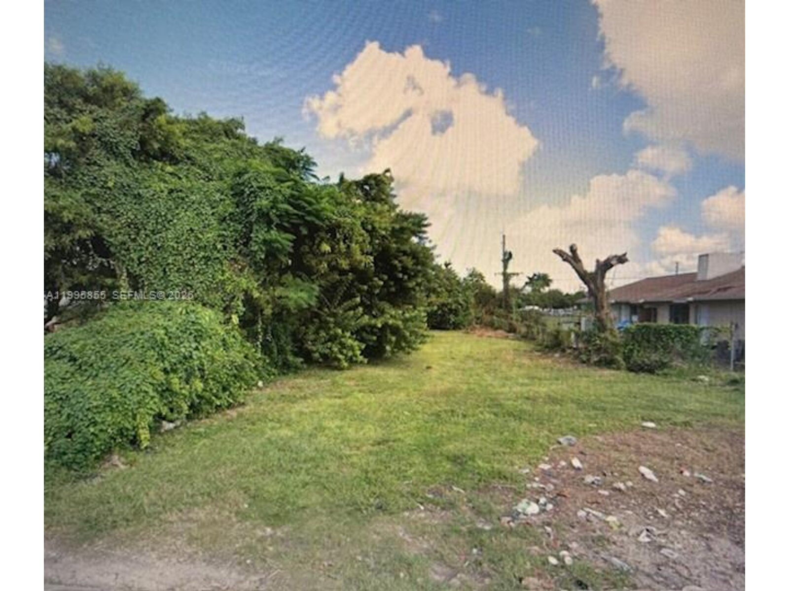 Image - 1