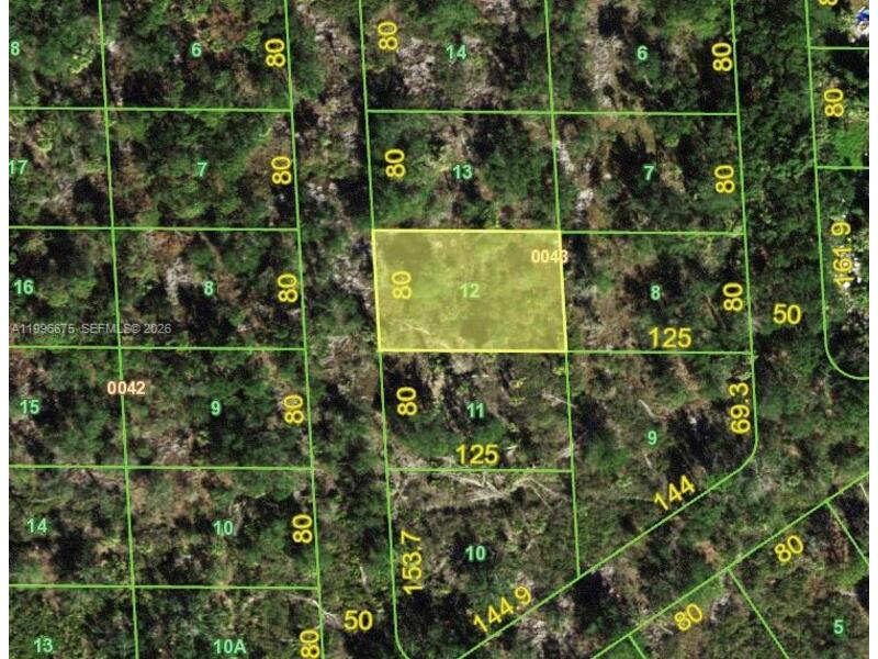 Image - 1