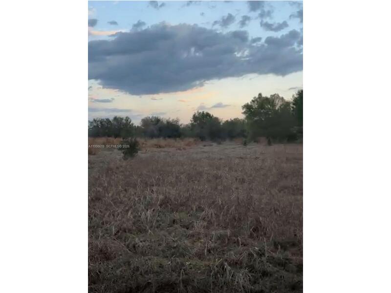 Image - 1