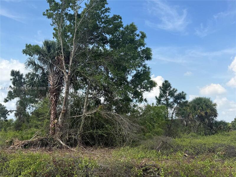 Image - 1