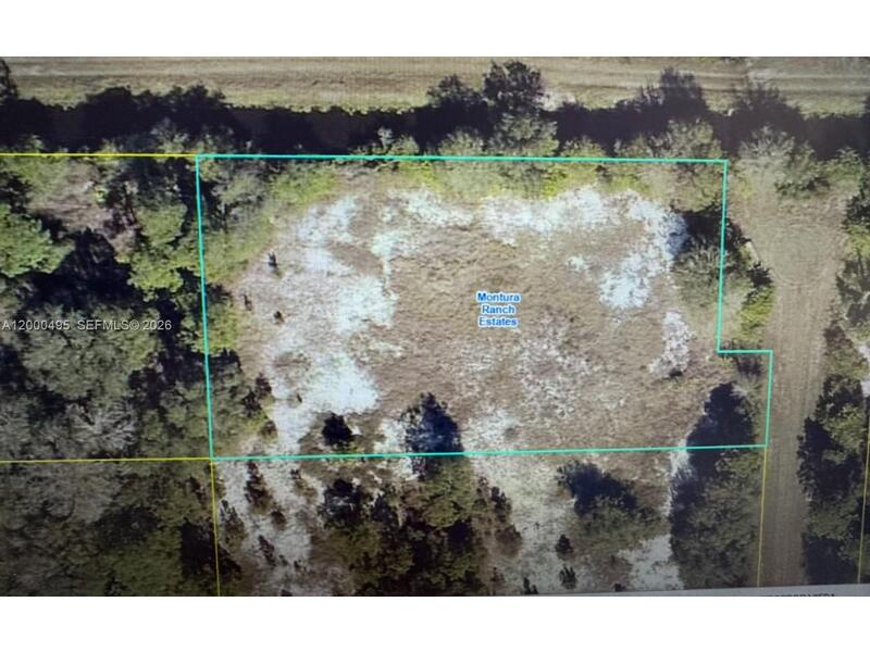 Image - 1