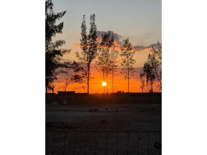 Image - 1