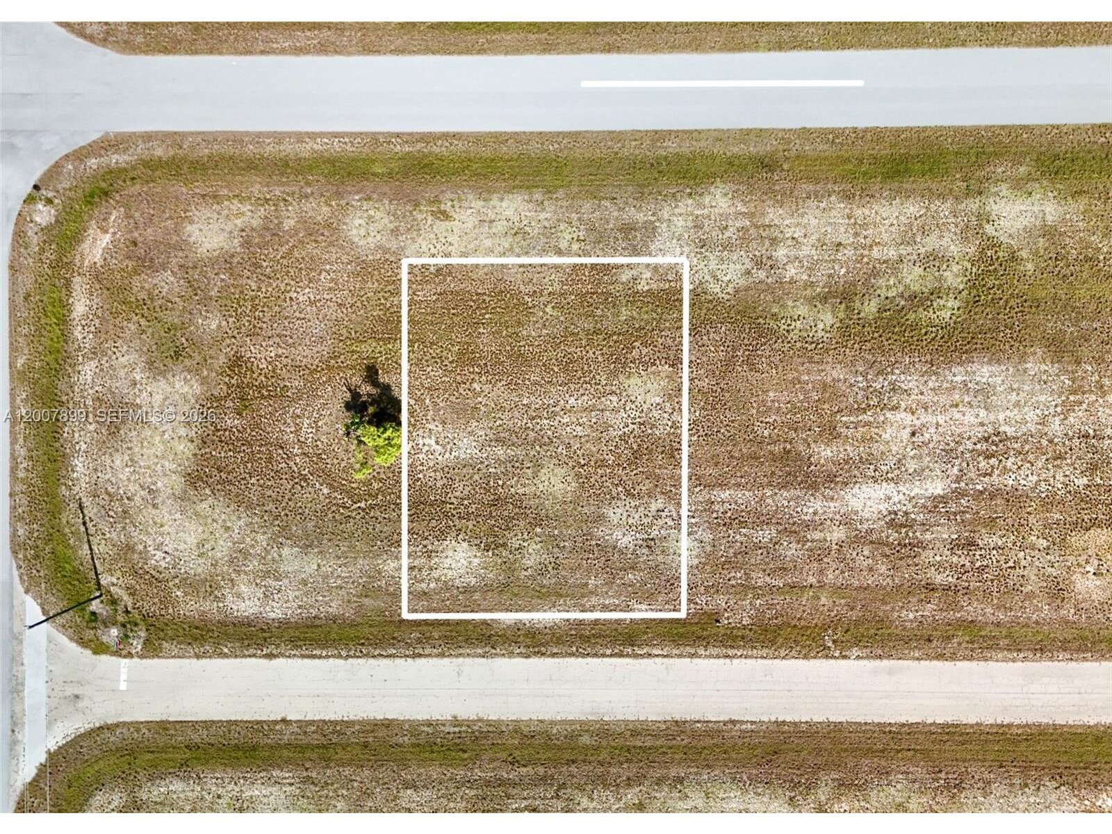 Image - 1