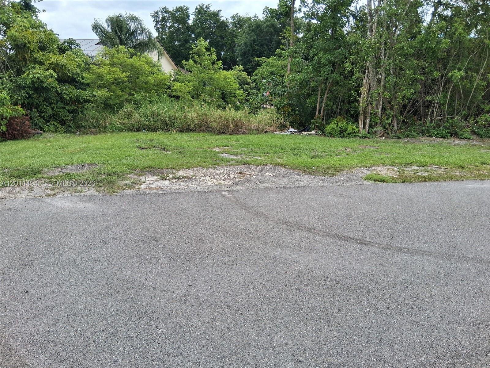 Image - 1