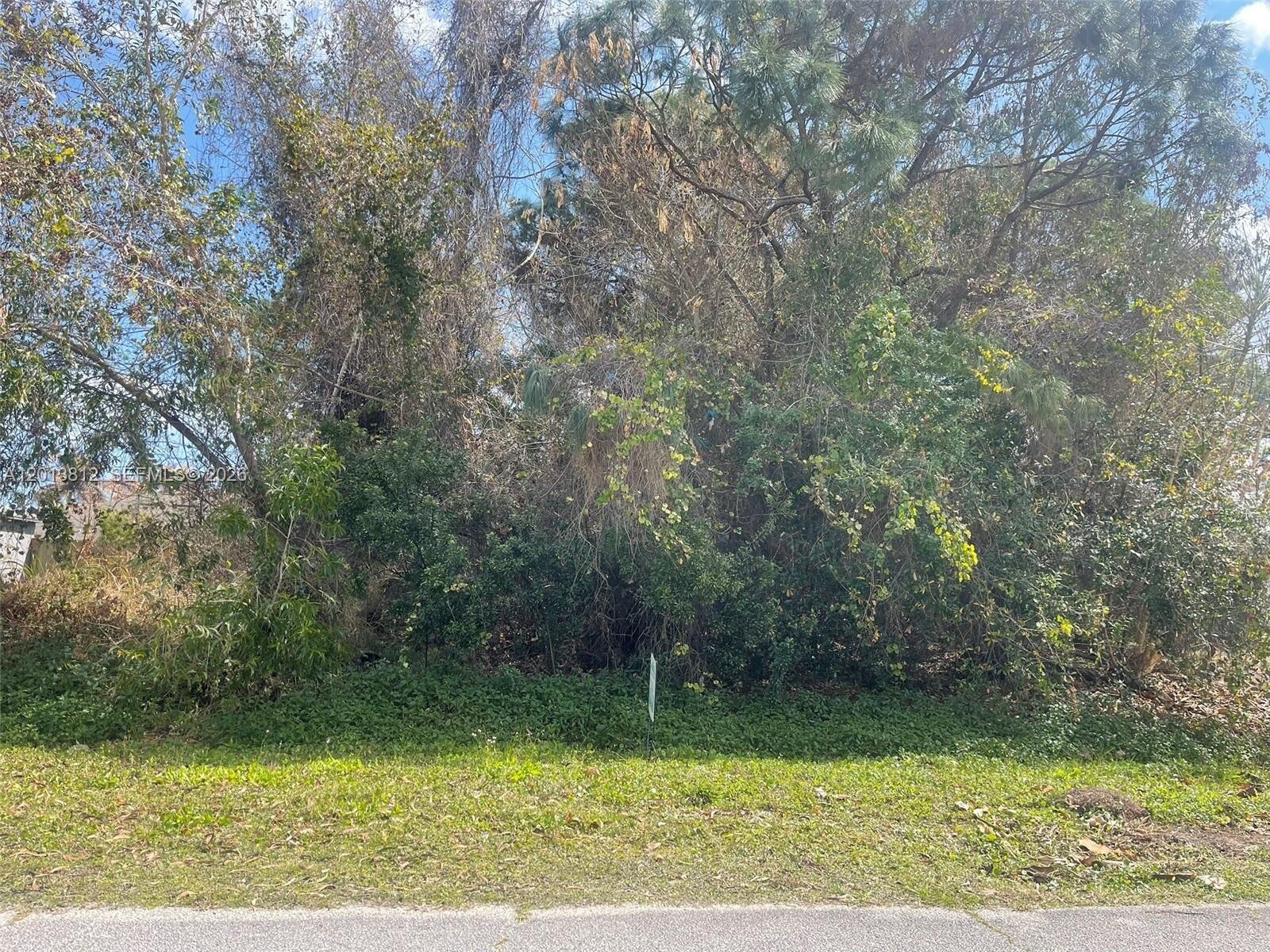 Image - 1