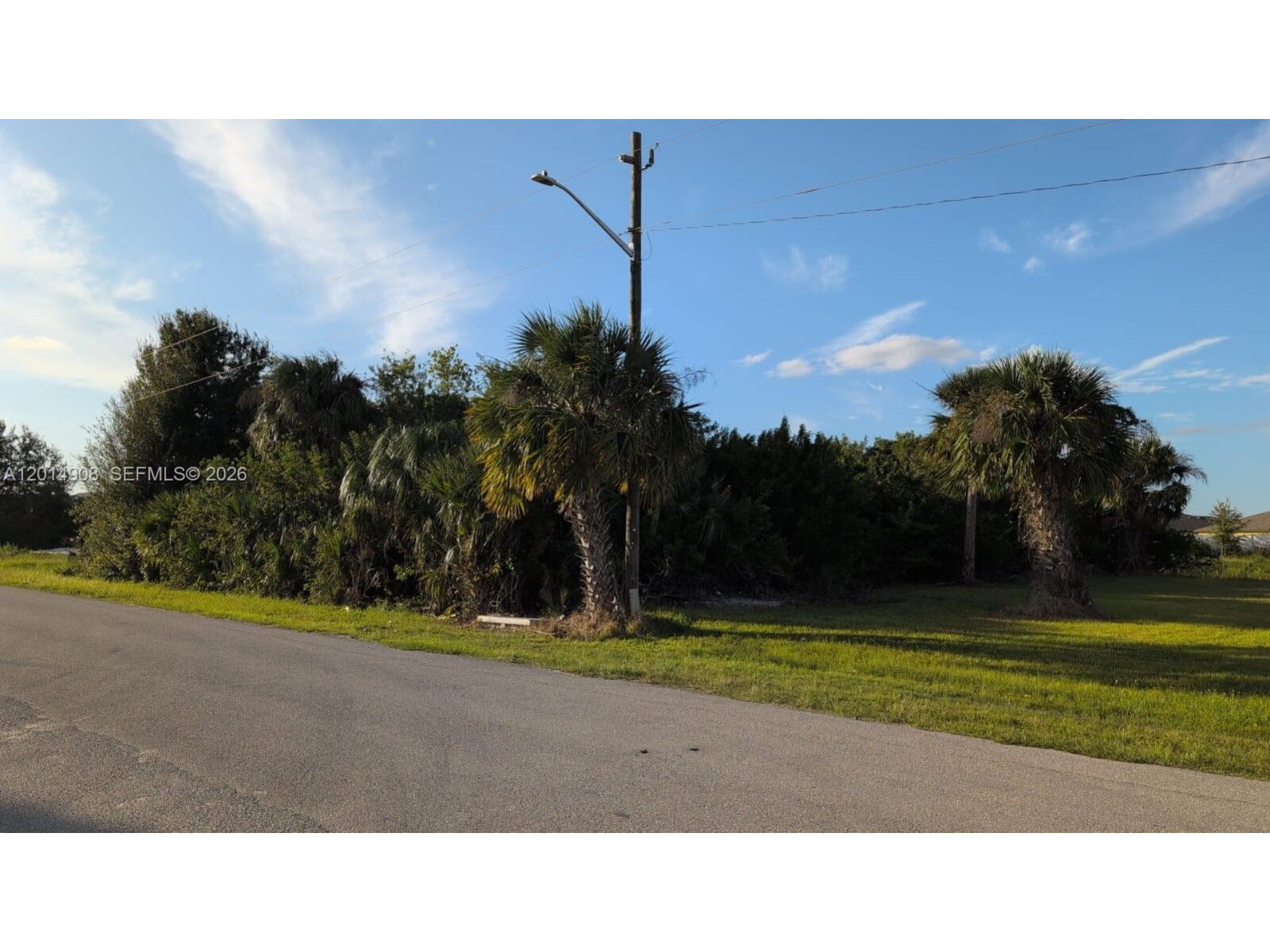 Image - 1