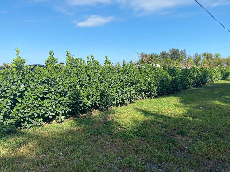 Image - 1