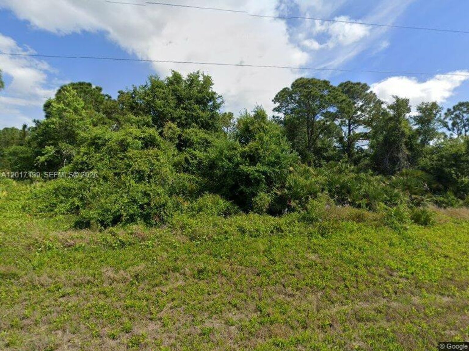 Image - 1