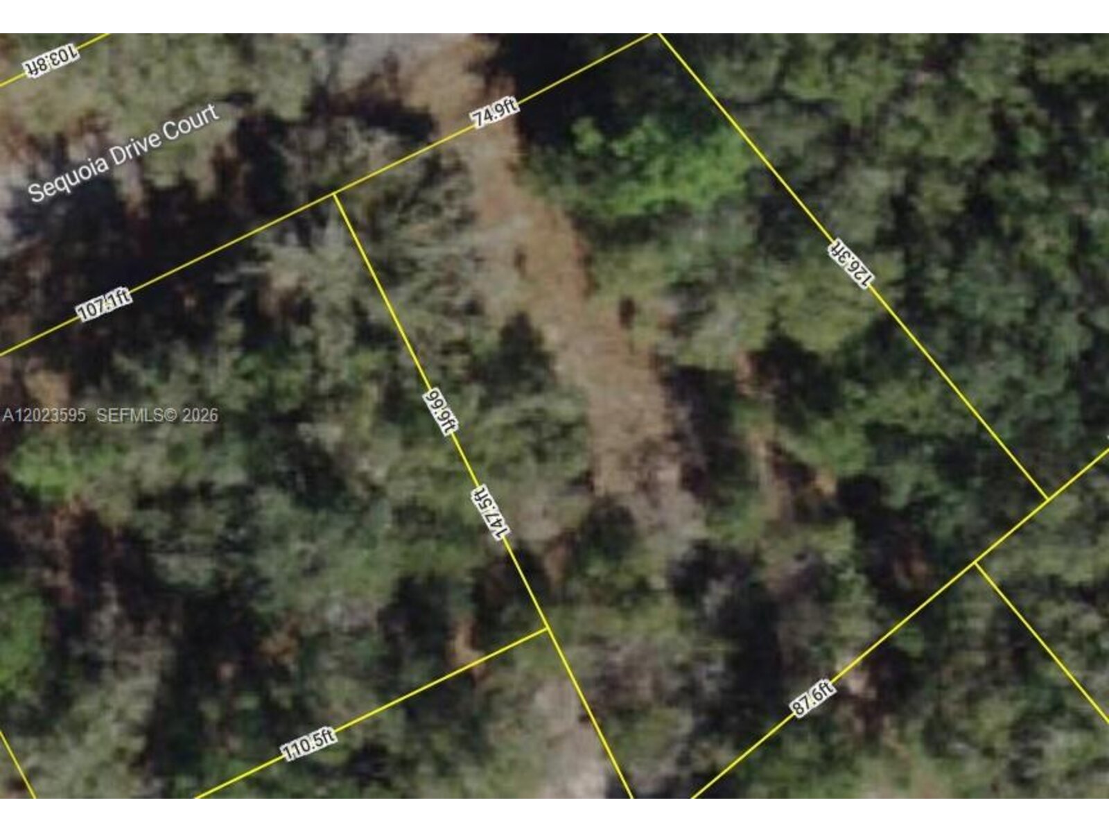 Image - 1