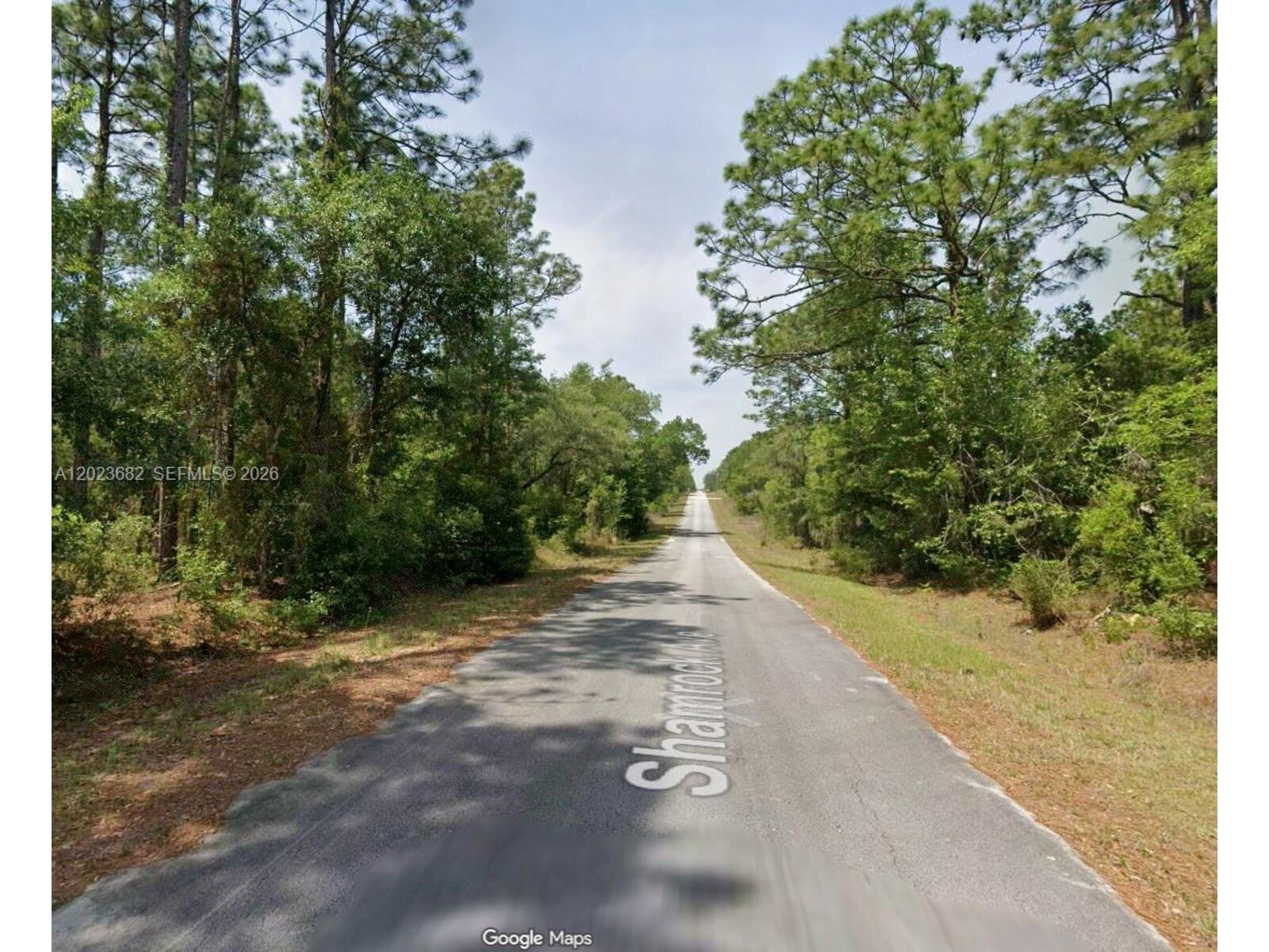 Image - 1