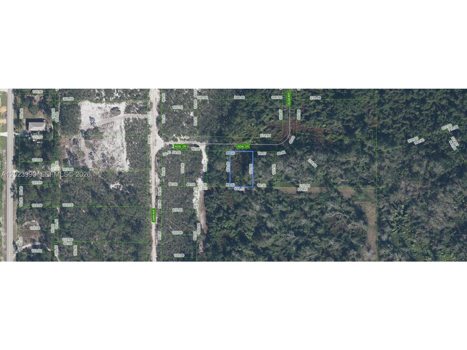Image - 1