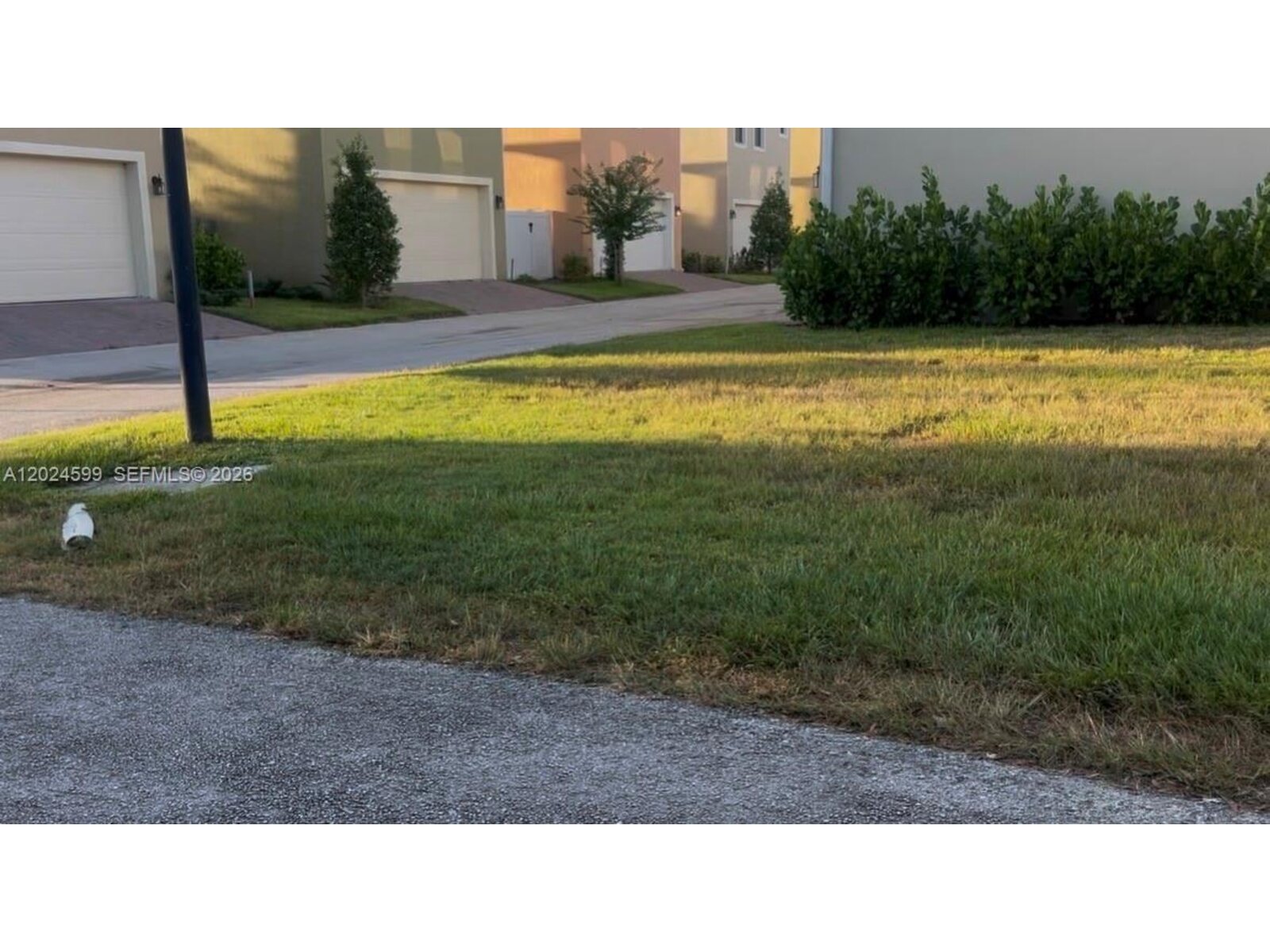 Image - 1