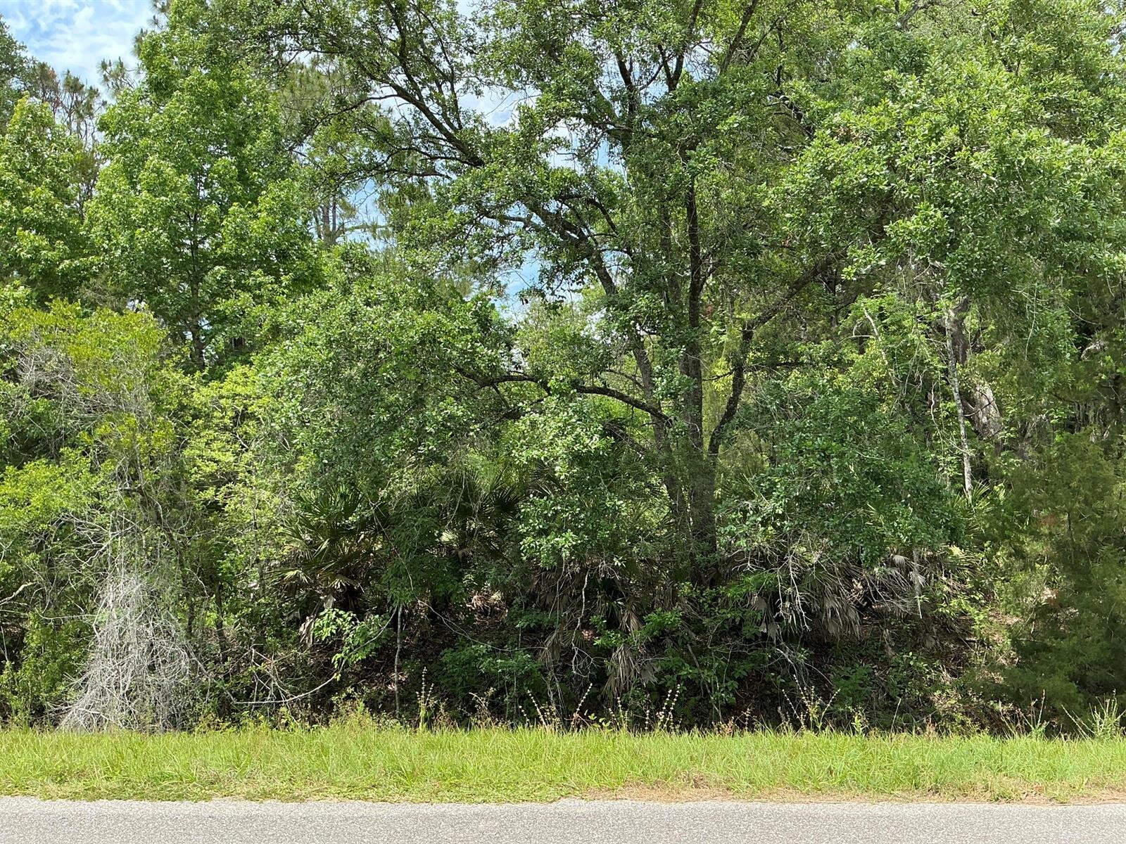 Image - 1