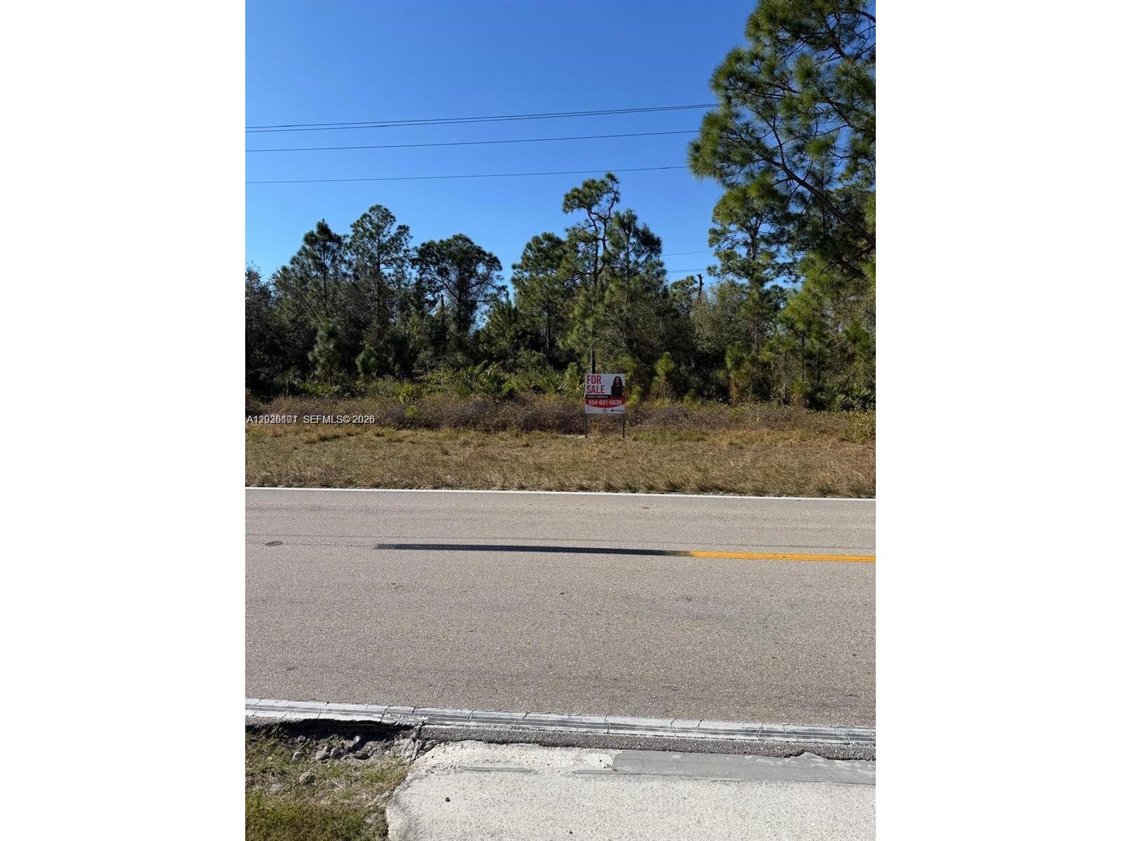 Image - 1