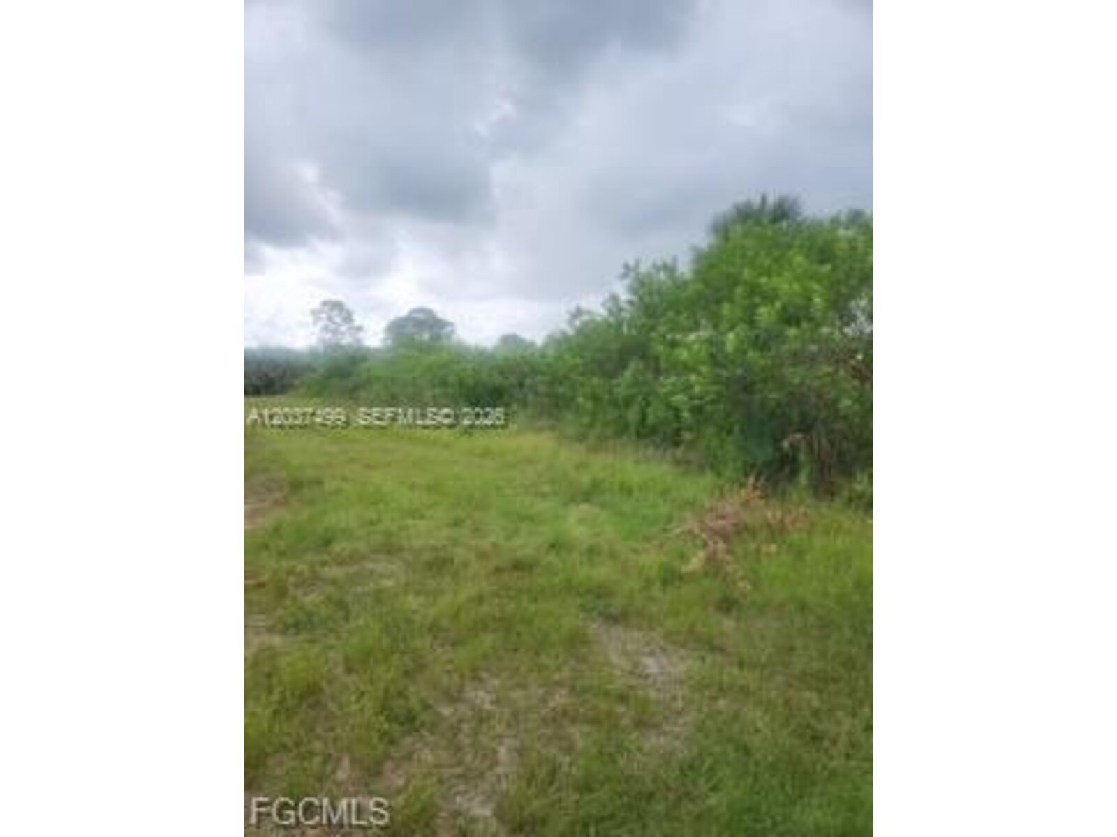 Image - 1