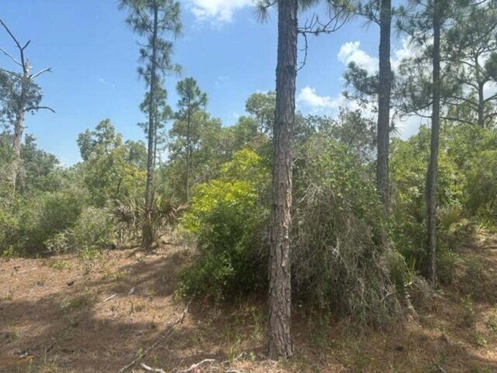 Image - 1