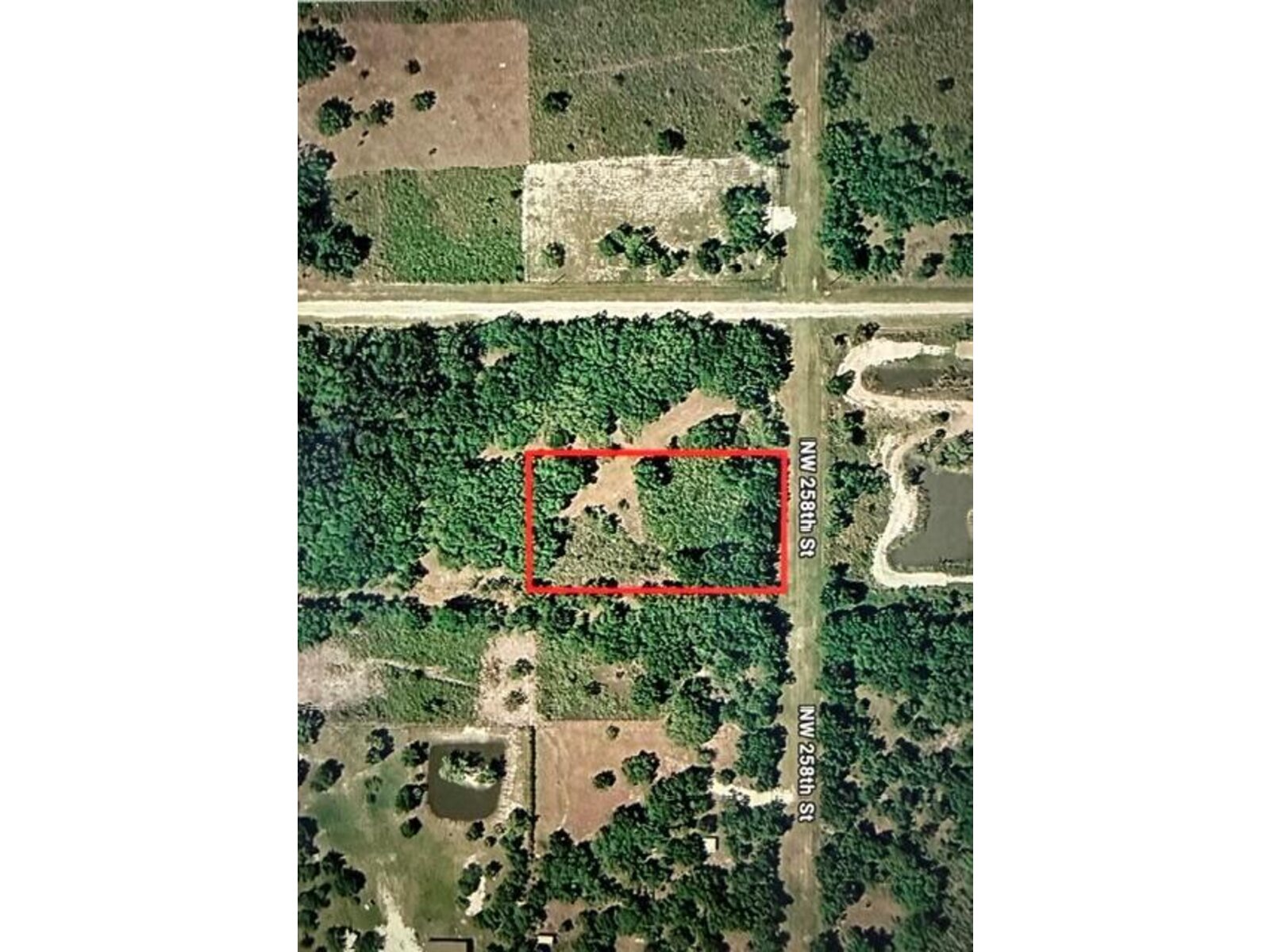 Image - 1