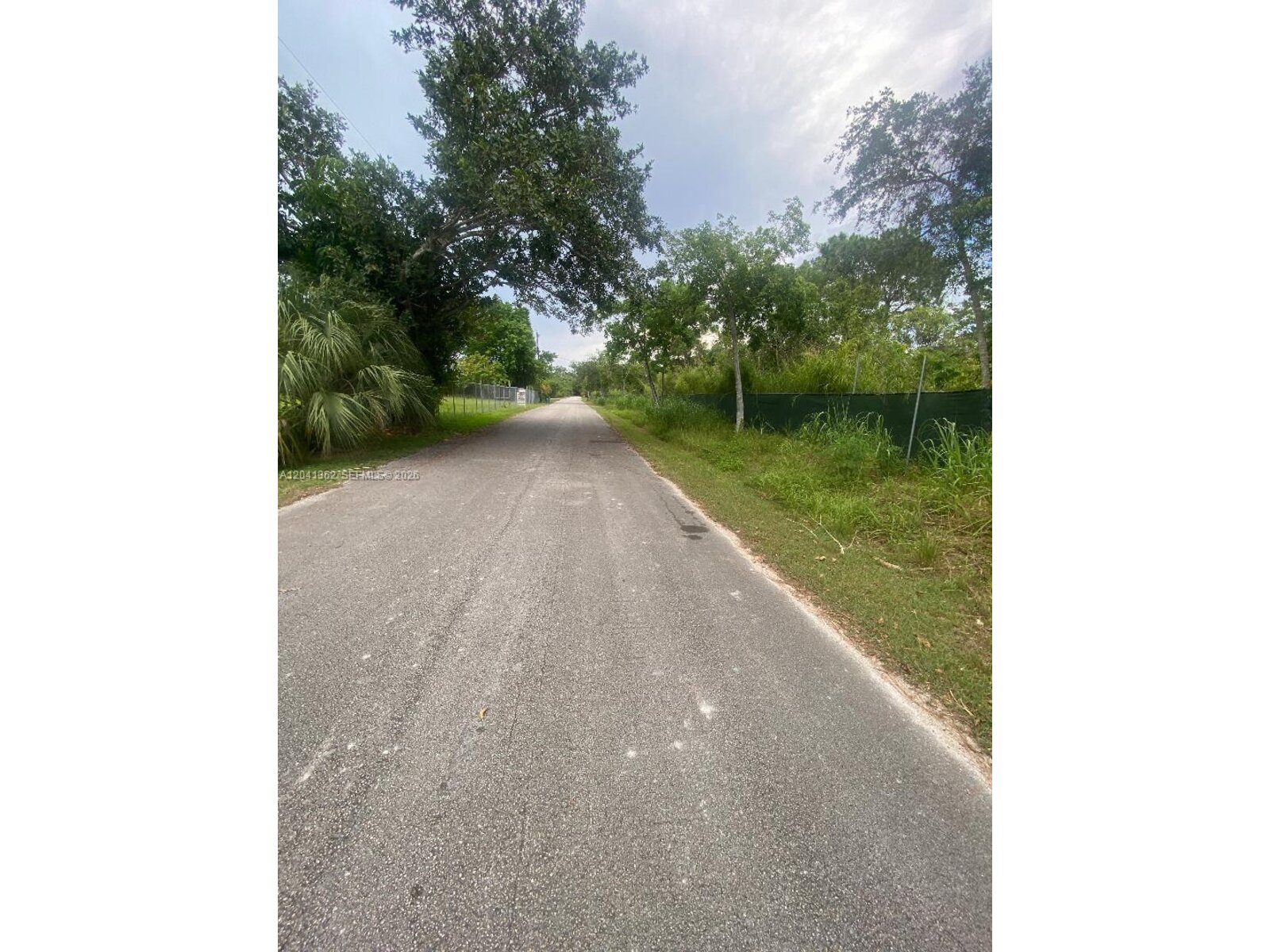 Image - 1