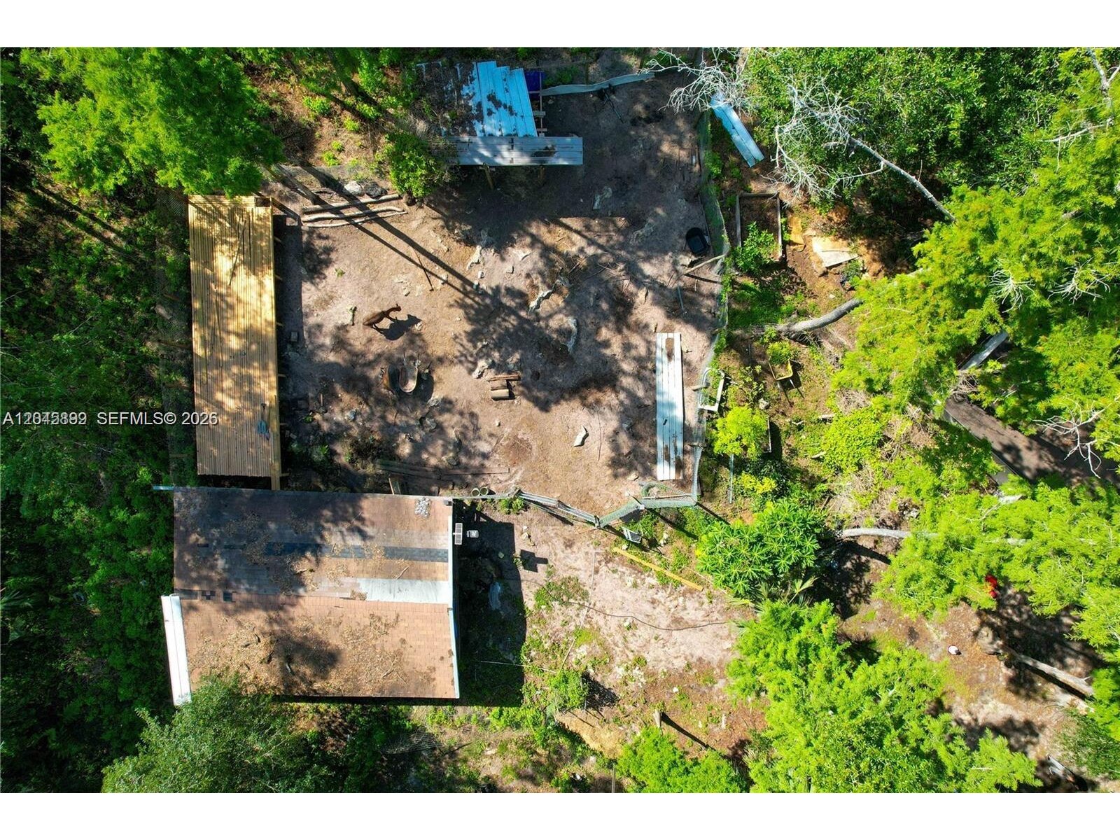 Image - 1