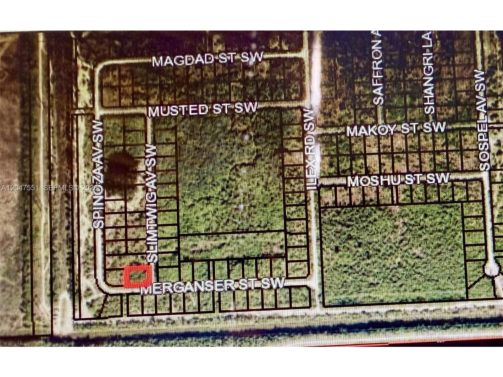 Image - 1