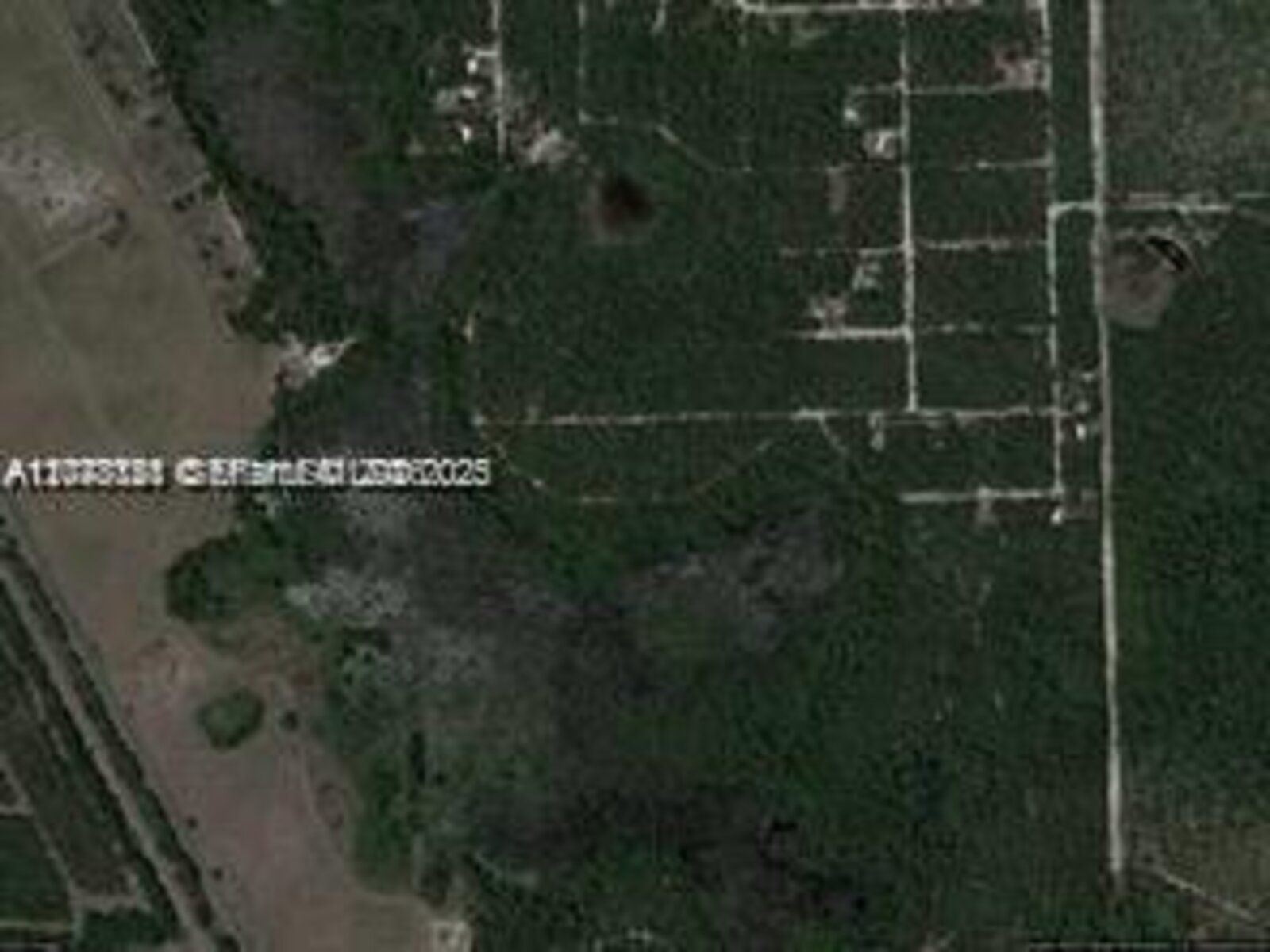 Image - 1