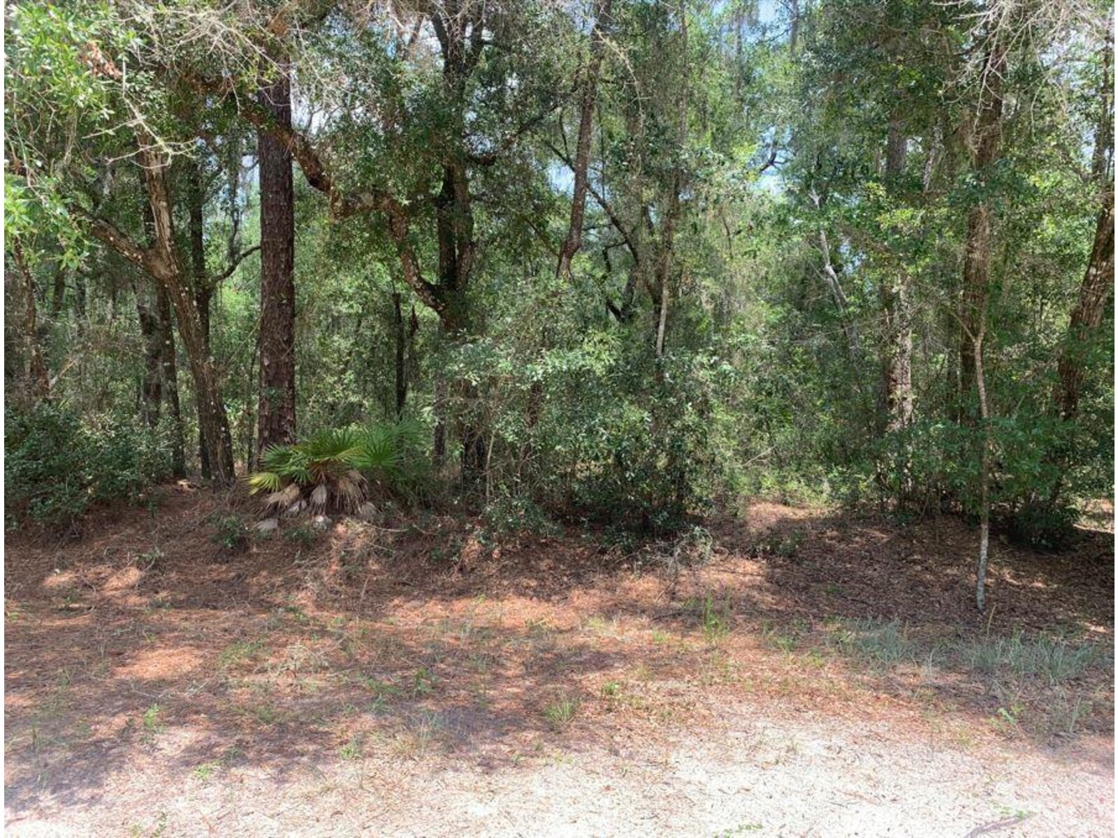 Image - 1