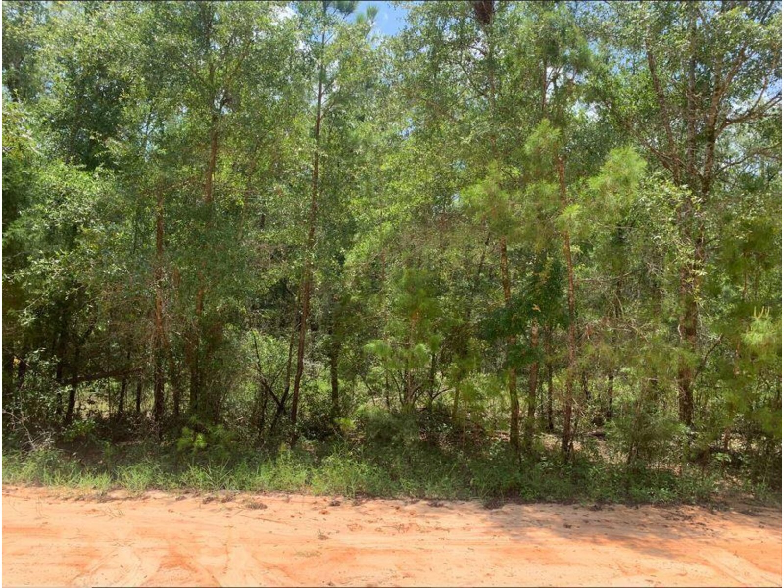 Image - 1