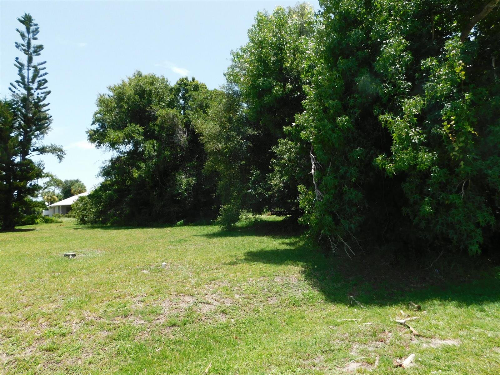 Image - 1