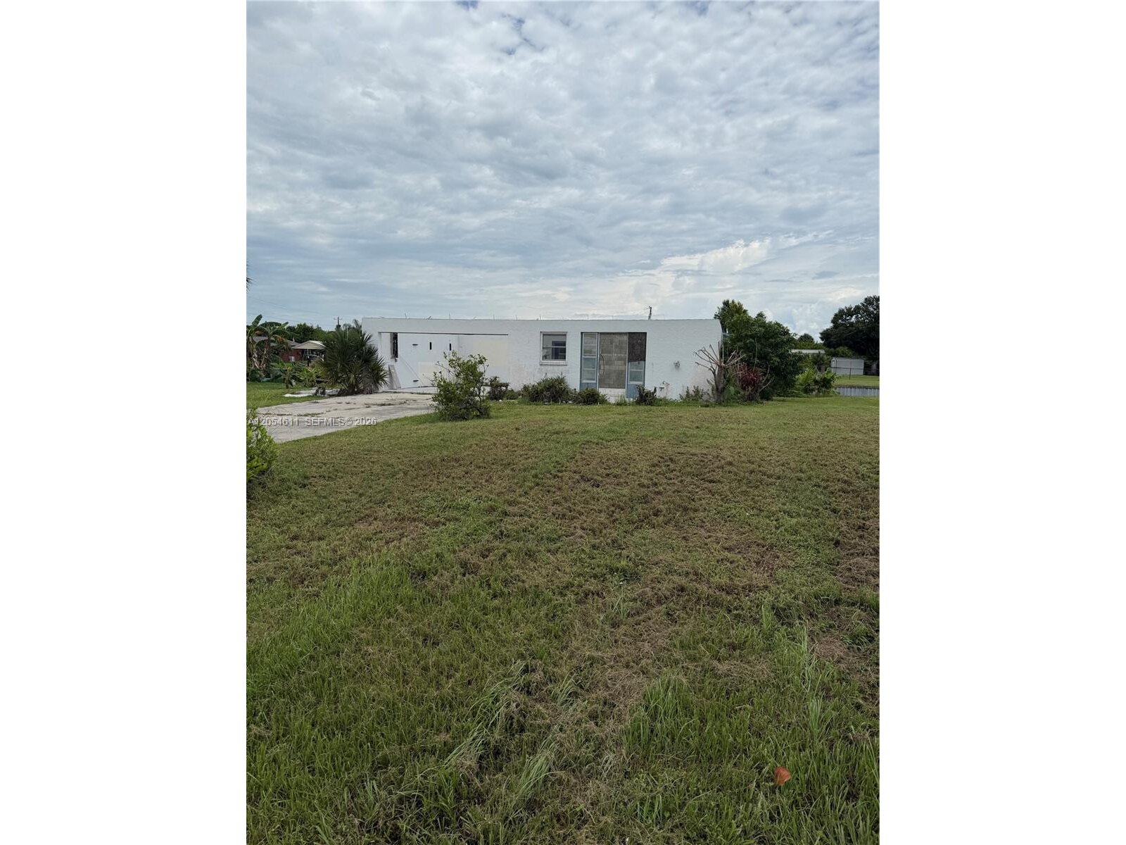 Image - 1